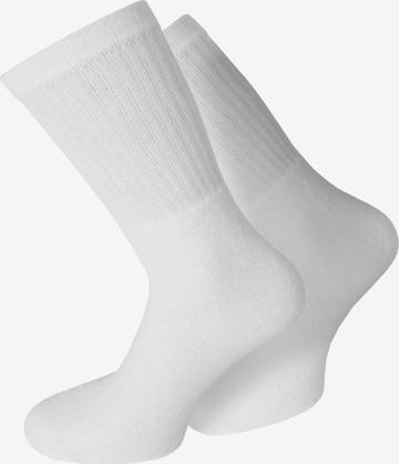 Chaussettes normani en blanc : devant