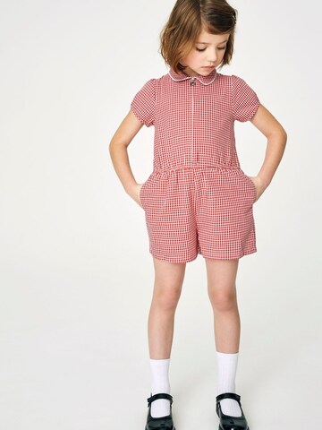 Next Overall in Rood