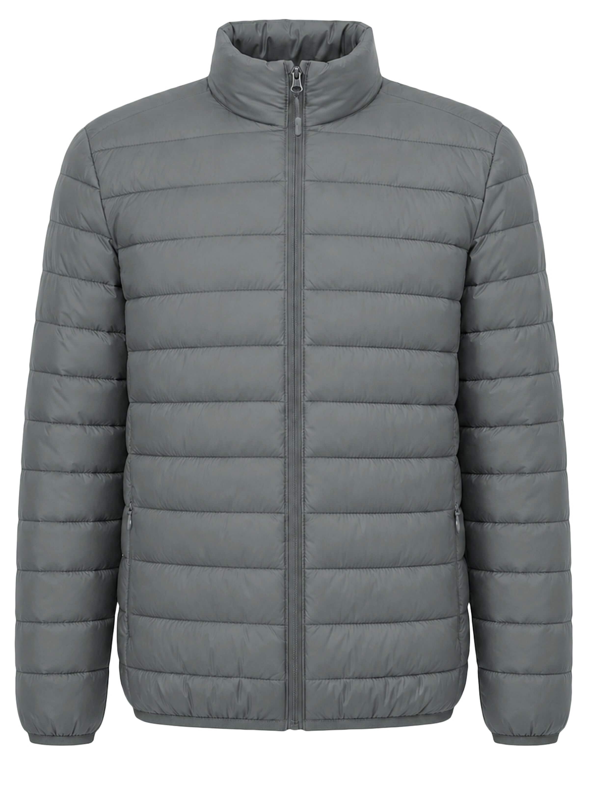 ALLTHEMEN Winter Jacket 'Stichwerk' in Grey: front
