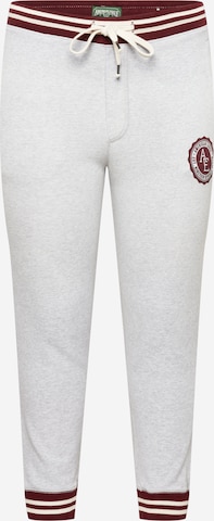 American Eagle Tapered Pants in Grey: front