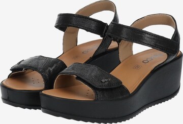 IGI&CO Sandals in Black