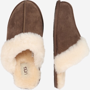 UGG Slippers 'Scuffette' in Brown