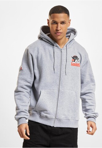 European League of Football Zip-Up Hoodie 'DefShop x European League of Football Helvetic Guards 1' in Grey: front