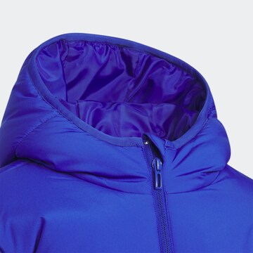 ADIDAS SPORTSWEAR - Chaqueta de montaña en azul