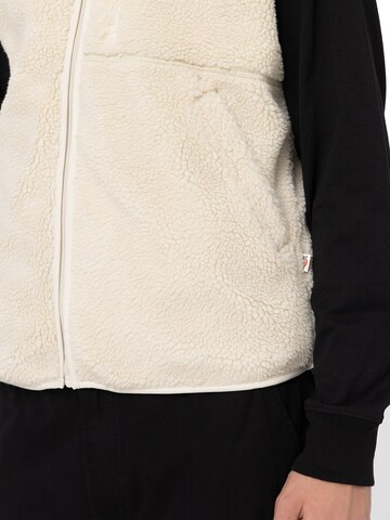 Gilet 'MOUNT HOPE VEST' DICKIES en beige