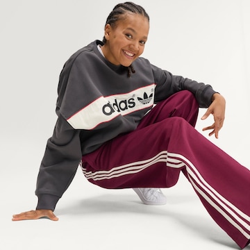 ADIDAS ORIGINALSLoosefit Hlače 'AdiSignature' - crvena boja
