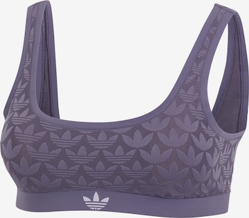 ADIDAS ORIGINALS BH in Lila: Vorderseite
