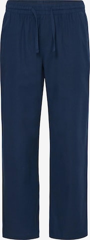 BLEND Regular Broek ' BHVolker ' in Blauw: voorkant