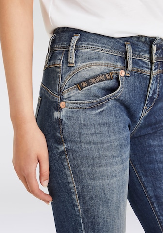 Herrlicher Flared Jeans in Blau