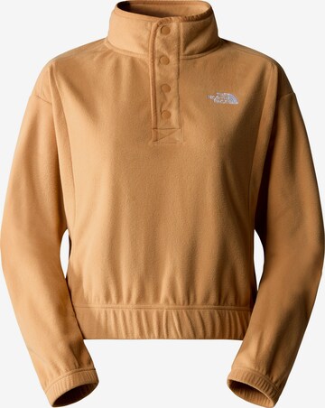 THE NORTH FACE Fleece Jacket 'Homesafe' in Brown: front