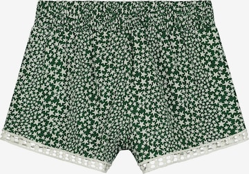 Shiwi Regular Broek 'Tuvalu' in Groen