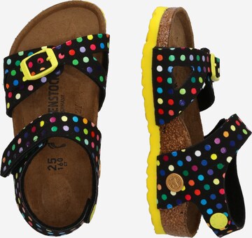 juoda BIRKENSTOCK Sandalai 'Colorado'