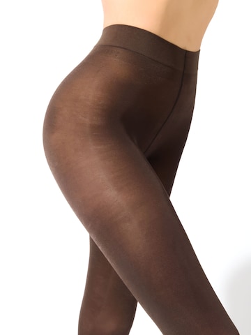 JOOP! Panty's in Bruin