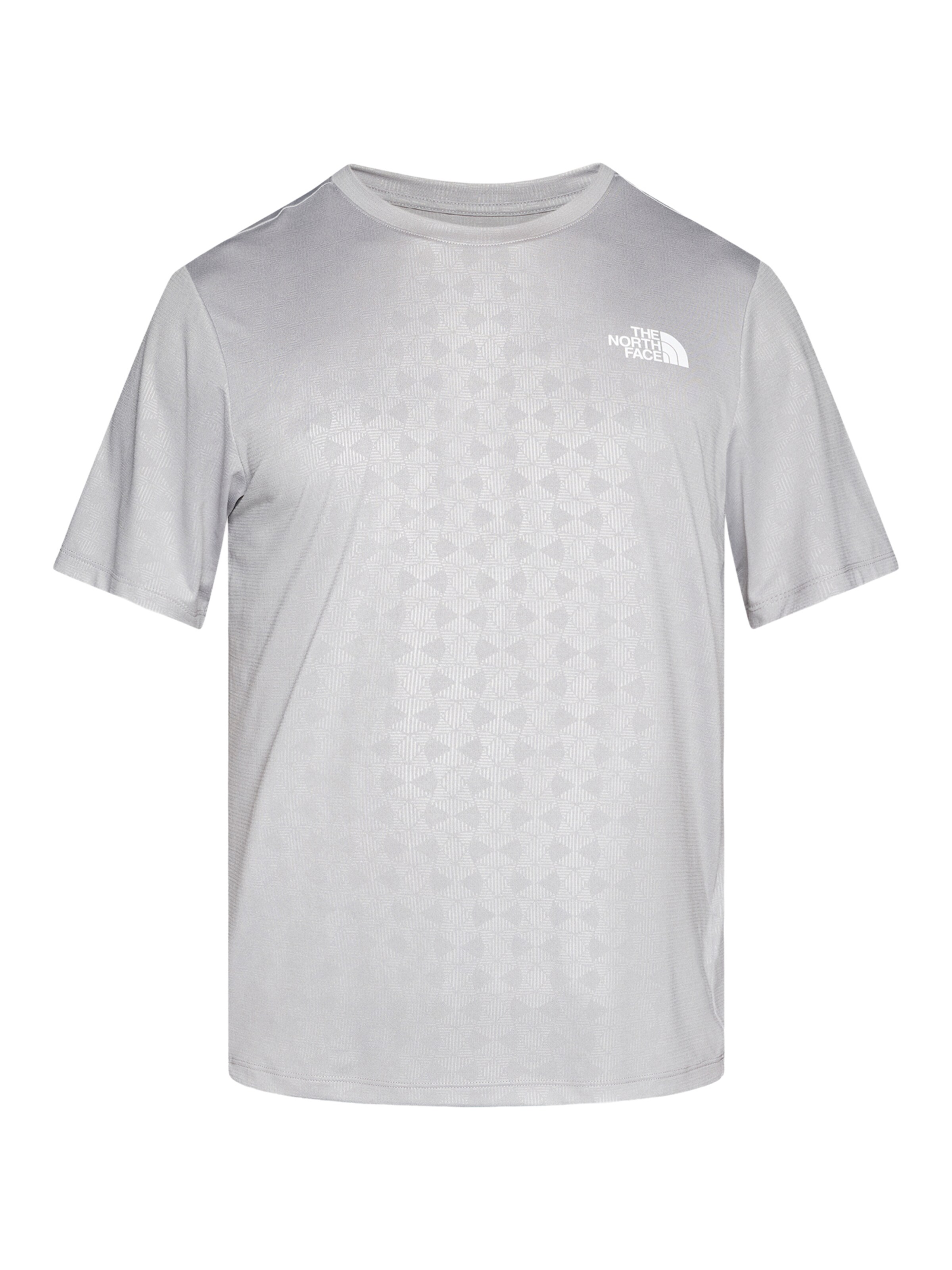 THE NORTH FACE Toiminnallinen paita 'PENTADOME' värissä harmaa: etupuoli