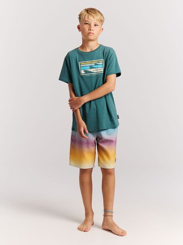 PROTEST Shirt 'PRTRay JR' in Green