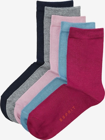 ESPRIT Socks in Mixed colors: front