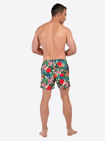 HOM Swimming shorts ' Beach Boxer Peacock ' in Mixed colours
