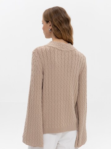 Passioni Pullover‌‌‌‌‌‌‌ in Grau