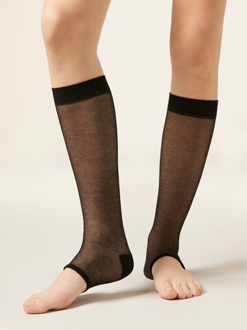 CALZEDONIA Socks in Black: front