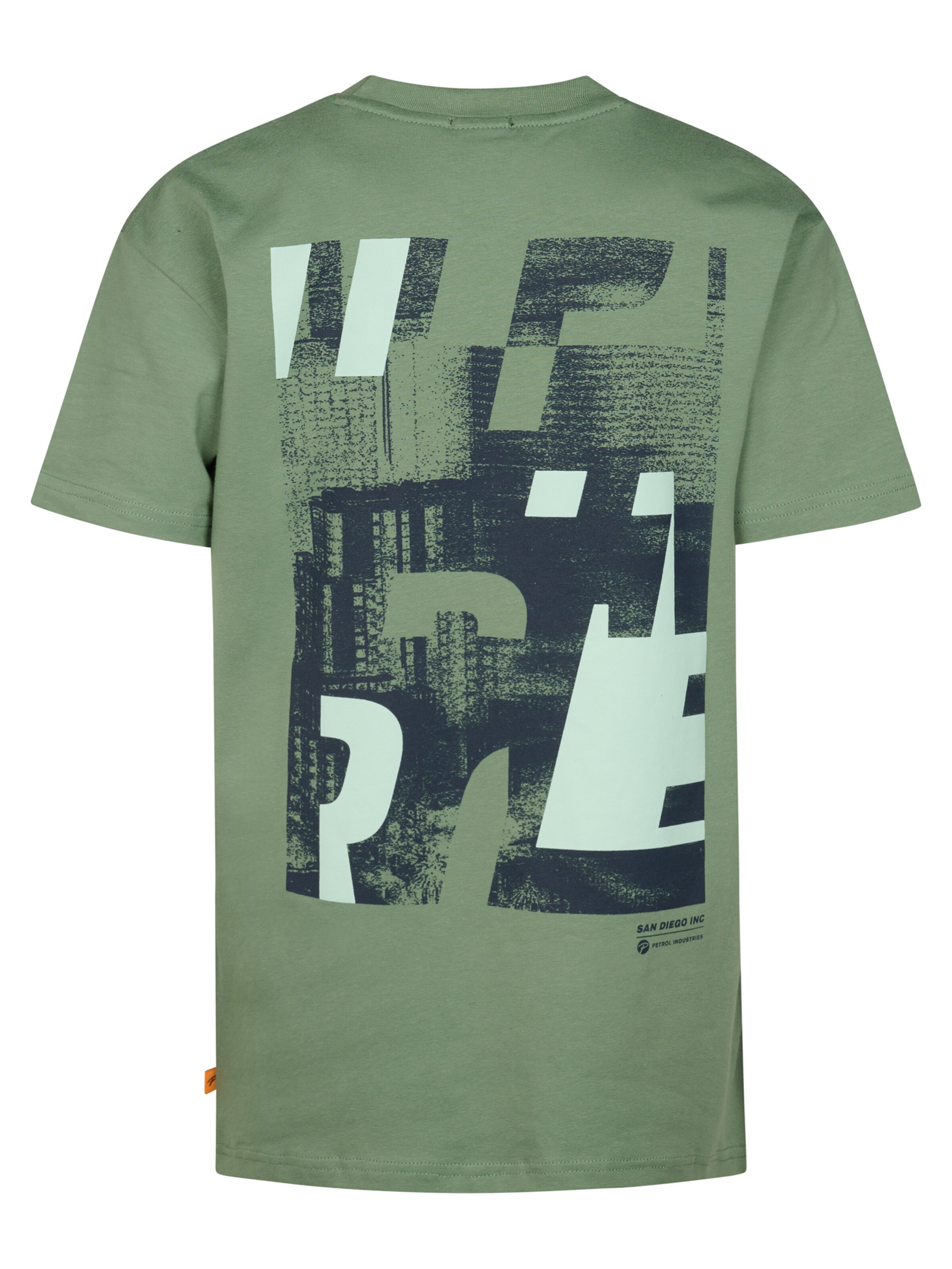 Petrol Industries Shirt in Groen