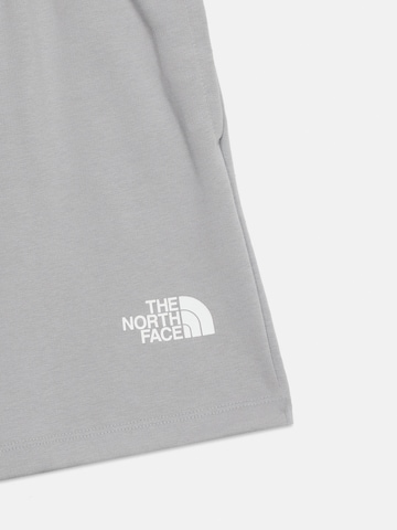 THE NORTH FACEregular Hlače za vanjske uvjete 'SIMPLE DOME' - siva boja