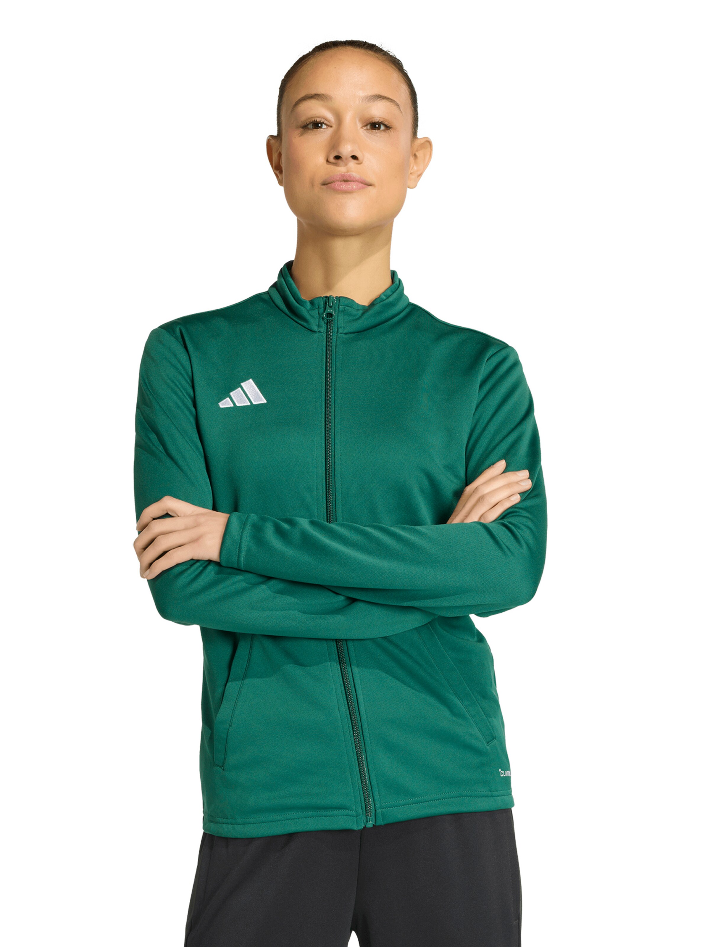 Veste de sport 'Entrada26' ADIDAS PERFORMANCE en vert : devant