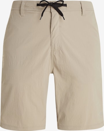 PROTEST Trousers 'PRTNAVAGIO' in Brown: front