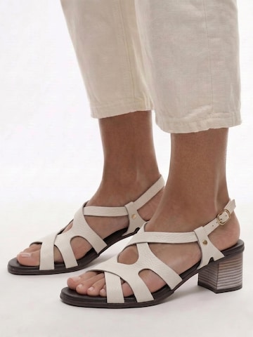 Maciejka Sandal in Beige
