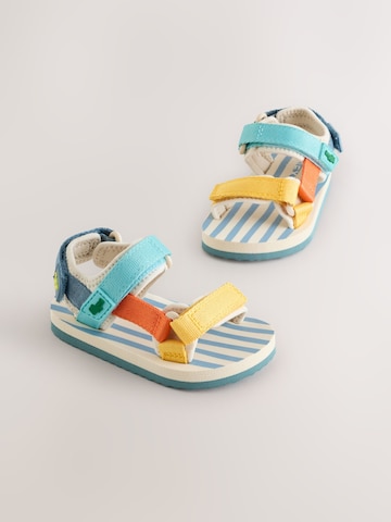 Next Sandale in Mischfarben