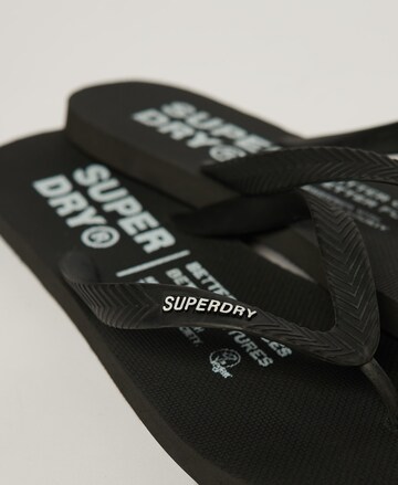 Superdry T-Bar Sandals in Black