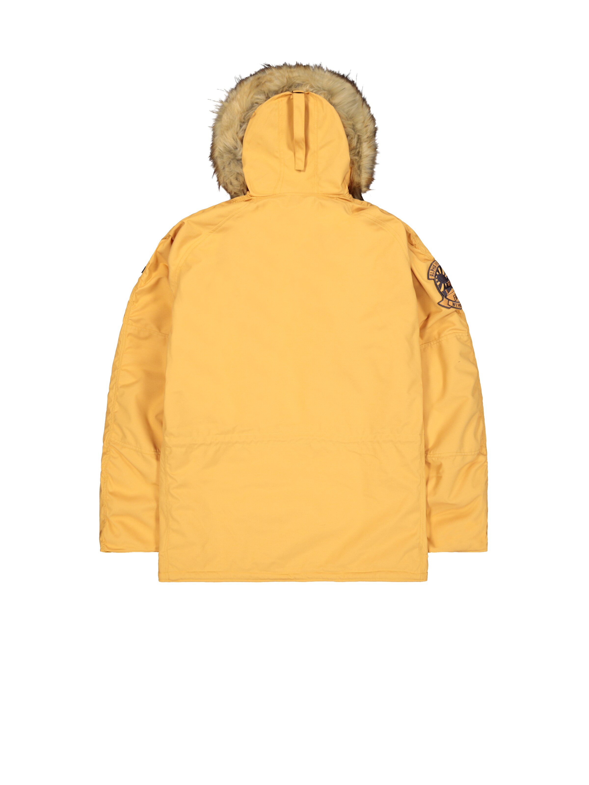 ALPHA INDUSTRIES Winter Jacket 'Explorer' in Beige: back