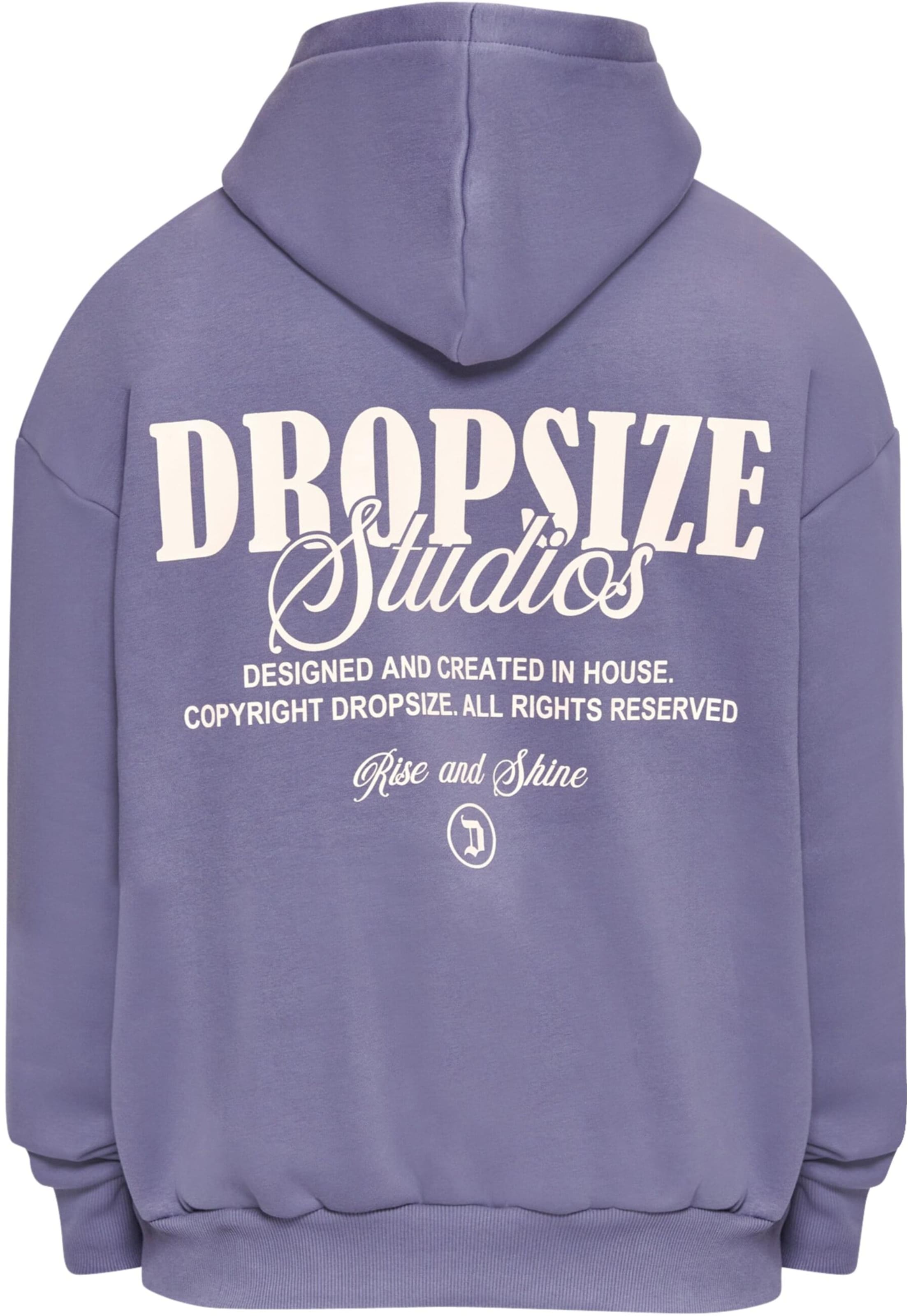 Dropsize Sweatshirt i blå