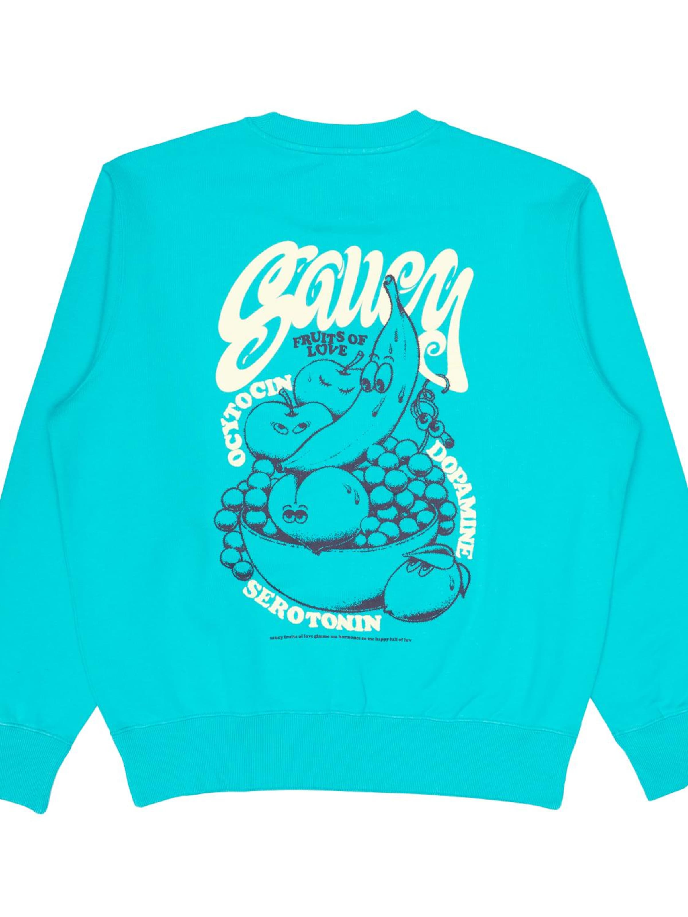 EDWIN Sweatshirt in Blue