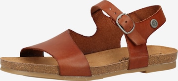 COSMOS COMFORT Sandals in Brown: front