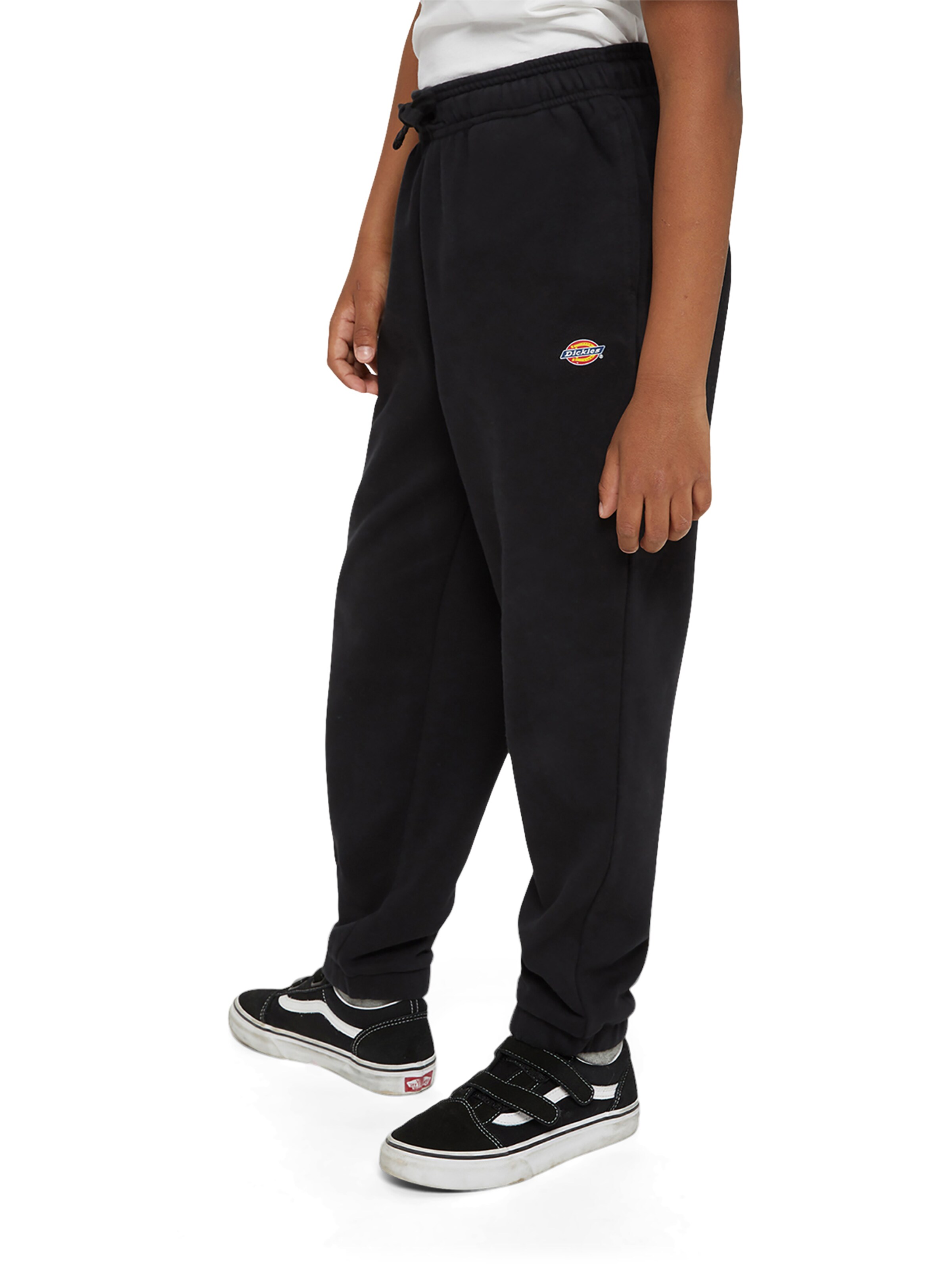 DICKIES - regular Pantalón 'Mapleton' en negro