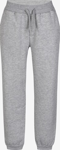 Bruuns Bazaar Kids - Tapered Pantalón en gris: frente