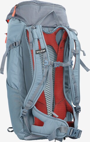 SALEWA Sports Backpack in Grey