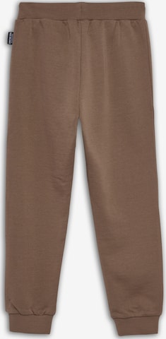 SOMETIME SOON Regular Workout Pants in Brown