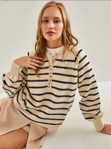 Bianco Lucci Sweater in Beige