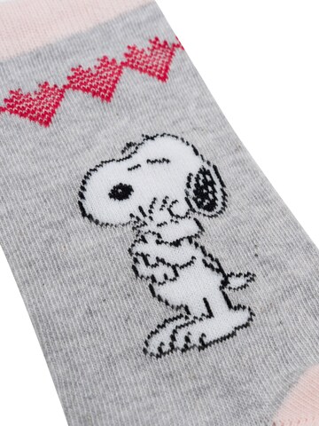Snoopy & Die Peanuts Socks 'Norweger' in Mixed colors