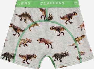 Claesen's Underpants in Grey