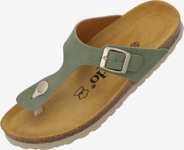 Tongs Palado en vert : devant