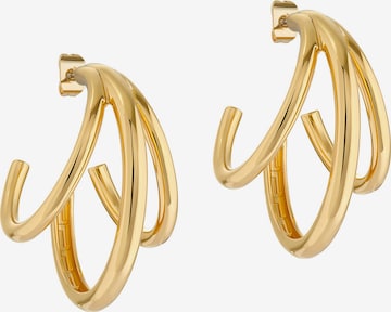 Ted Baker Earrings 'Hoopla' in Gold: front