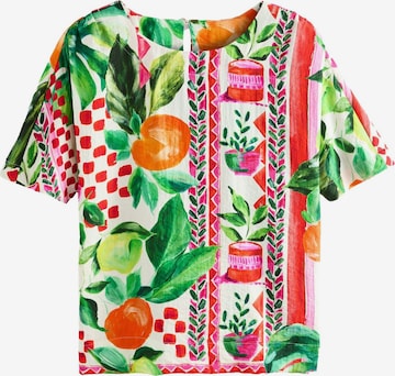 mišri Next Palaidinė: priekis