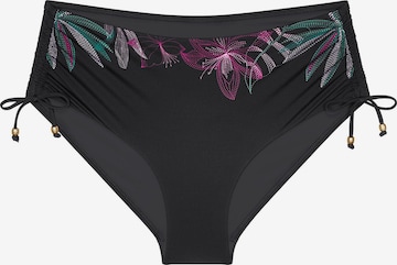 TRIUMPH Bikini Bottoms ' Red Label Summer Tropics ' in Black: front