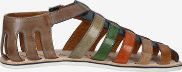 Sandalo di MELVIN & HAMILTON in colori misti