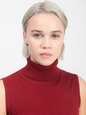 Influencer Свитер в Красный