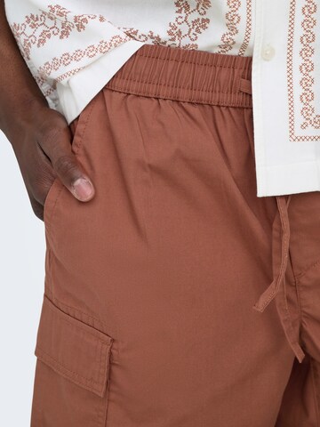 Only & Sons - Regular Calças cargo 'ONSKAL' em castanho