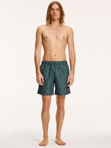 Shiwi Board Shorts in Green