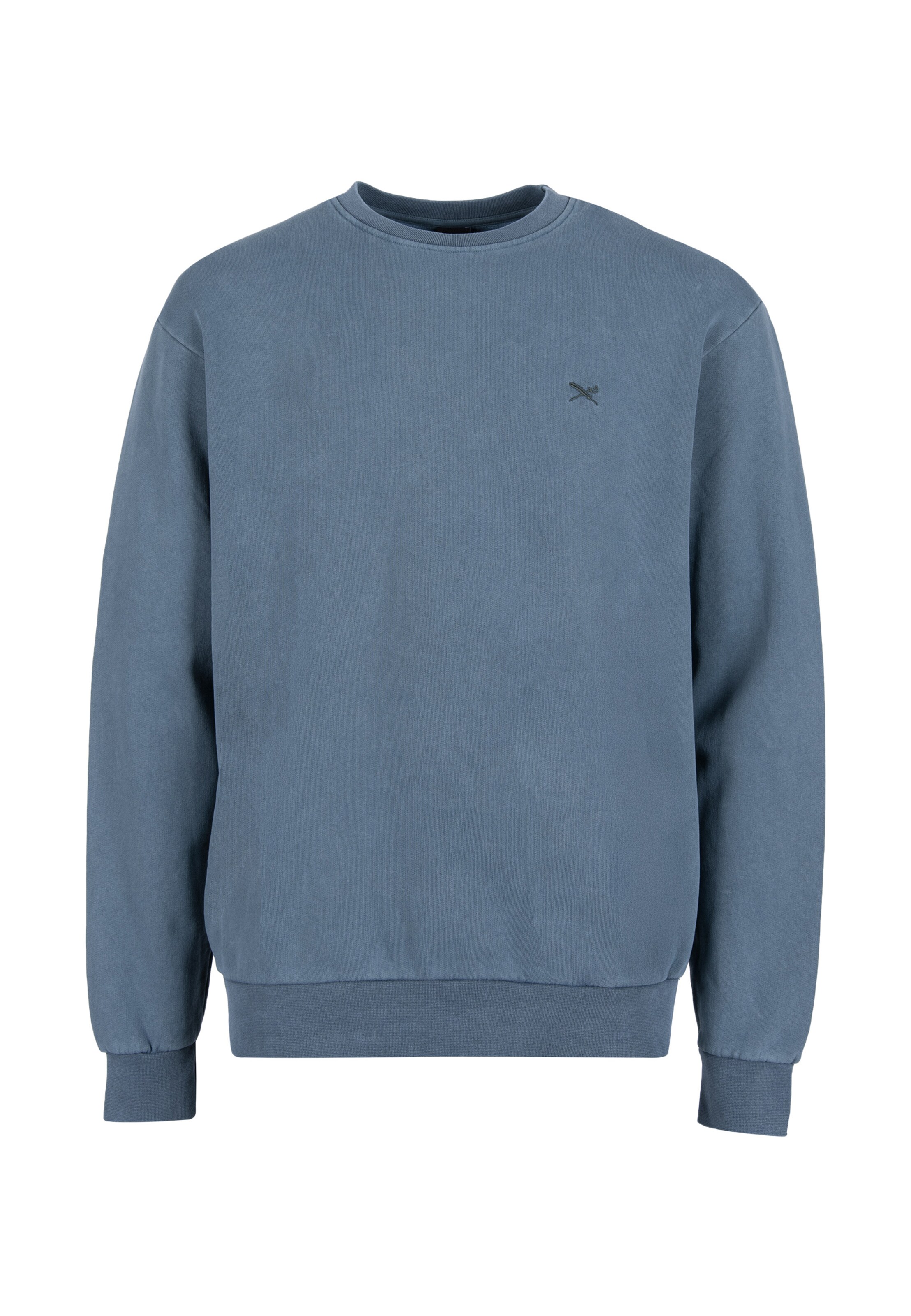 Felpa di Iriedaily in blu: frontale
